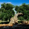 Italien Apulien